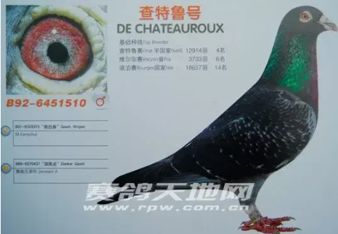 350a1653-d807-4b1b-b360-99faa0984ab4