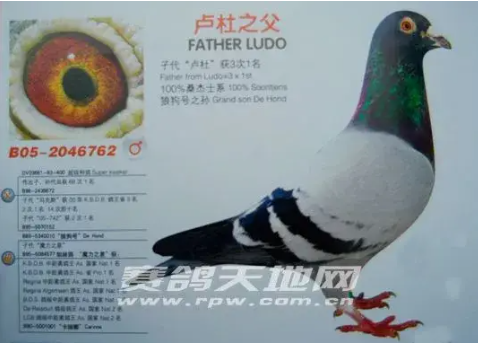 65a5a70e-0742-41ce-9a26-cf48e7c1c925