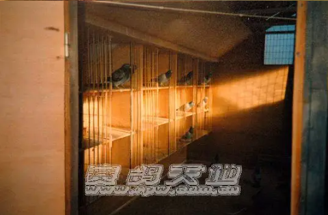 c005cba2-58df-42fd-b307-f595aa75601b