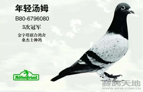 2be85d93-28fc-4651-a685-26e46937dea5