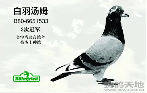 fec6baf7-cfee-462e-b2e0-ef4658931924