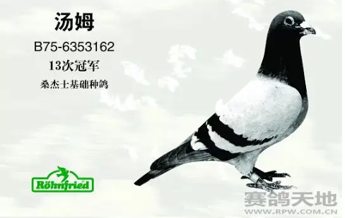 6efc436e-66a5-4825-b228-a52e18abcd01