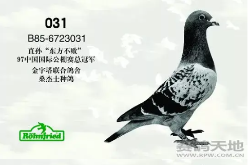 165320c1-ee98-4a7e-8367-b450fc4b3b36