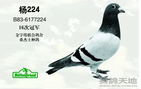 890368b8-3e16-4af7-8458-710b5e6bd144