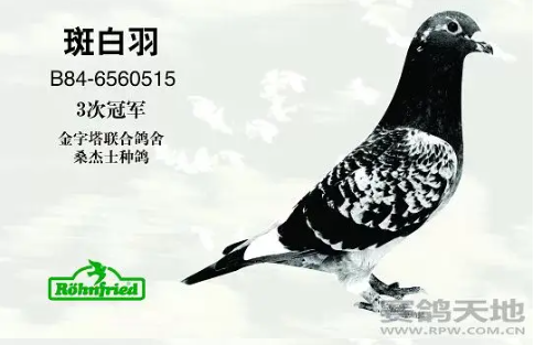 7600ef28-b94d-4007-81c0-6d51118b367b