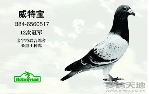 b037f24f-f8de-40f2-b3bd-77e7867241d4