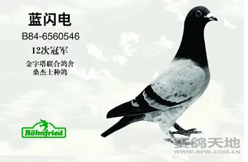 e984192c-a225-4351-9e5f-f6fdf3a8b48b