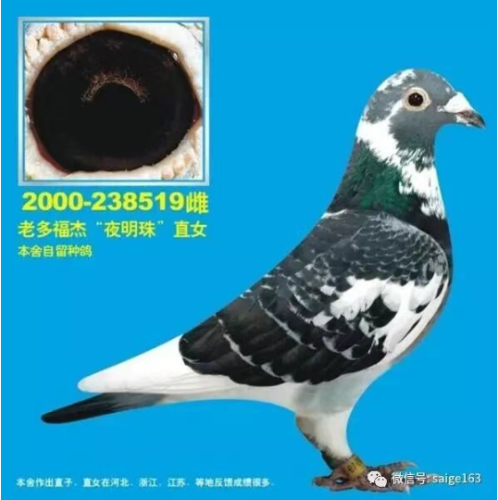 553b5c4c-9d61-4237-a29c-6f11da3c9176