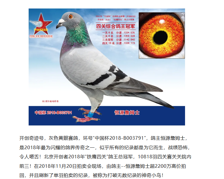 f89db241-2983-40d5-a51e-9e29d42a0b0a