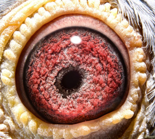 06b945a1-c0a8-45a6-b216-db90313618a0