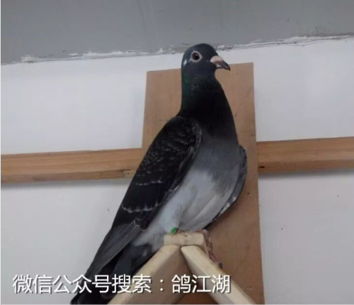 3d3c5fbf-391b-456e-bd32-5ee24c1c3a72