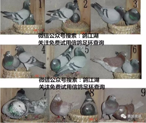 637d5ec6-8519-457d-9023-280ac4ee5622